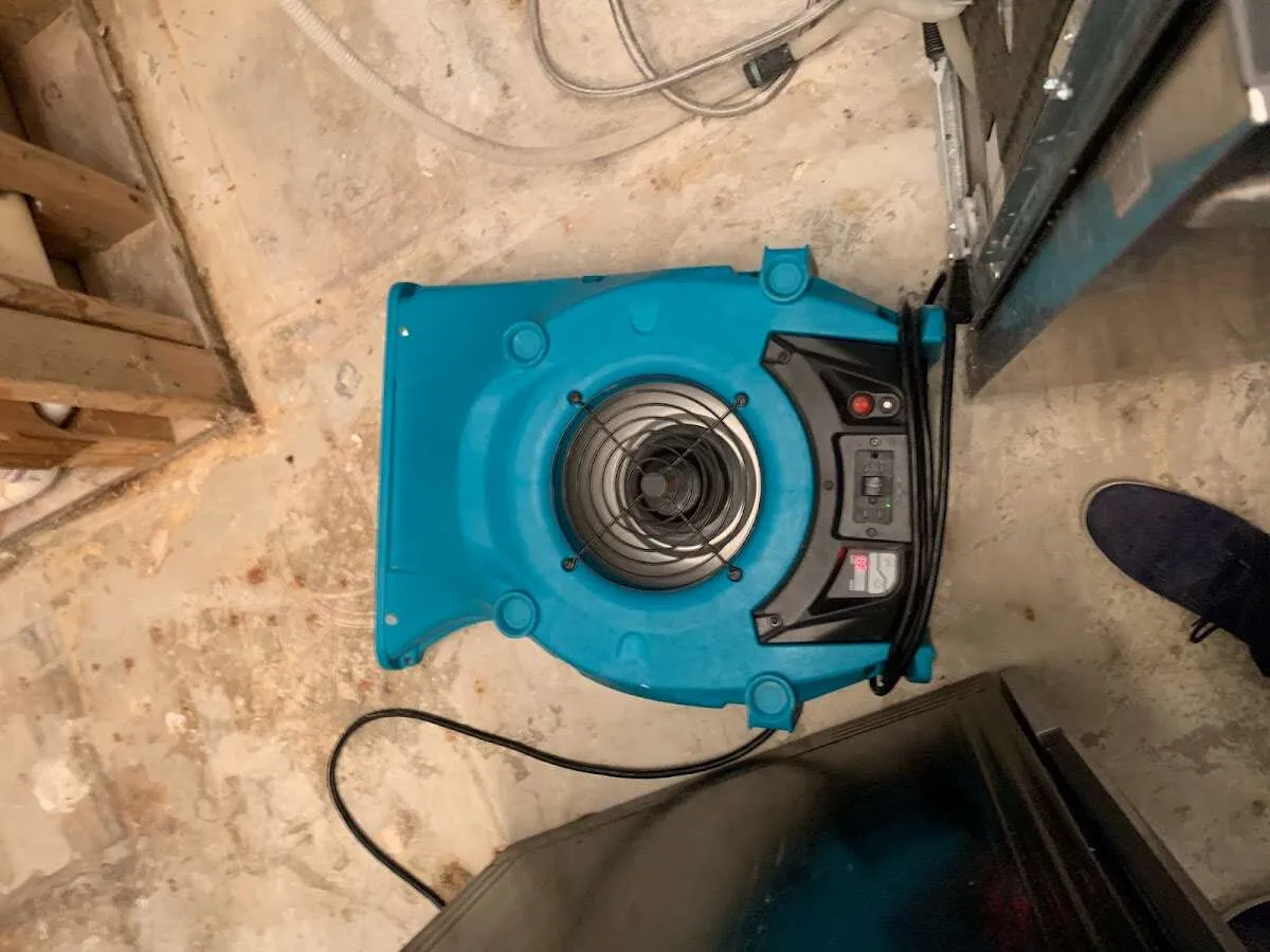 Air mover drying equipment for Mold Remediation & Removal in Indianola